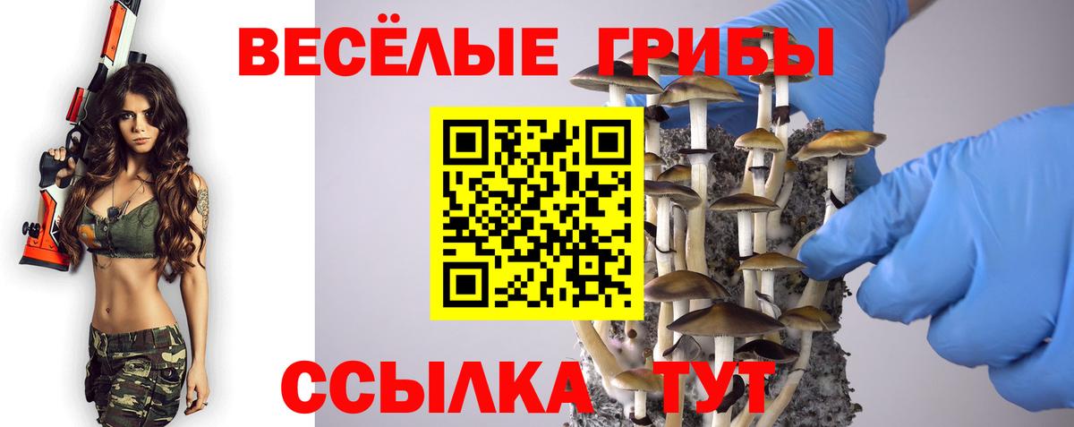 Псилоцибиновые грибы мухоморы Ахтубинск